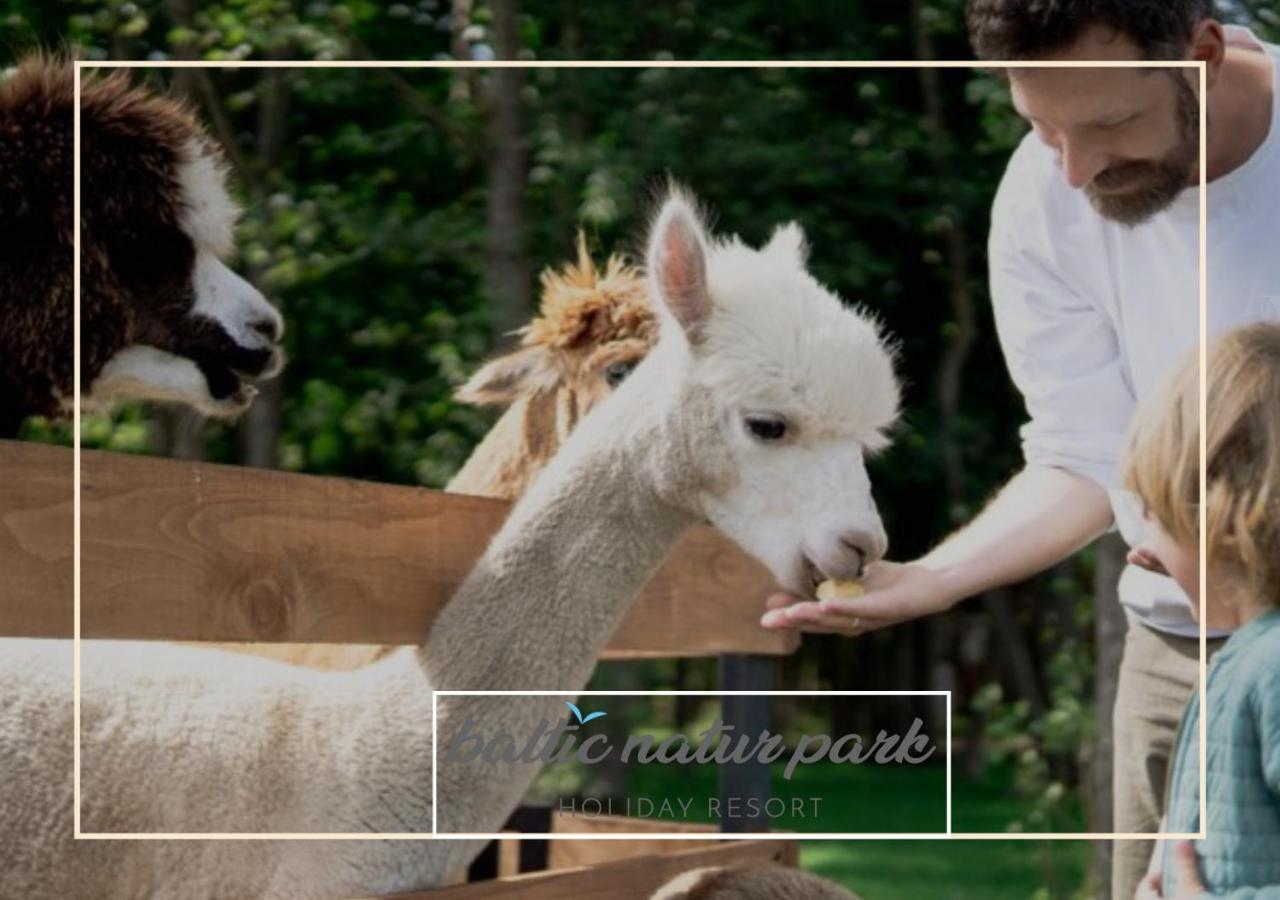 Baltic Natur Park - Holiday Resort Niechorze Εξωτερικό φωτογραφία